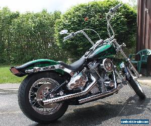 1999 Harley-Davidson Softail