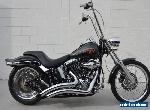 2008 HARLEY DAVIDSON FXSTC Softail Custom AK47 for Sale