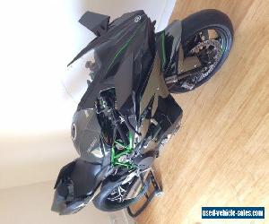 Kawasaki Ninja H2R (ZX1000P)