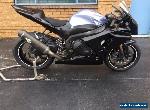 SUZUKI GSXR 1000 GSXR1000 09/2009MDL IN SYDNY TRACK OR RACE BIKE MAKE AN OFFER for Sale