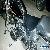 1997 Harley-Davidson Softail for Sale