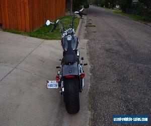 2014 Harley-Davidson Softail