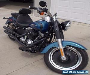 2014 Harley-Davidson Softail