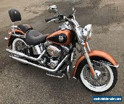 HARLEY DAVIDSON for Sale