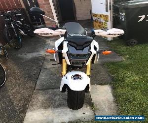 Honda msx 125 grom