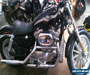 2003 Harley-Davidson Sportster