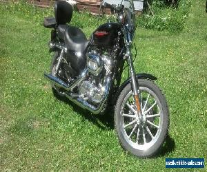 2007 Harley-Davidson Sportster