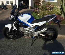 2009 SUZUKI Gladius for Sale