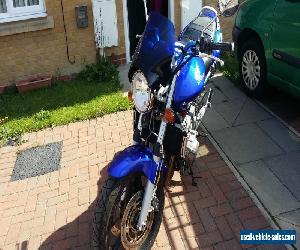 HONDA HORNET 900 (2003) MOT'd JAN 2017