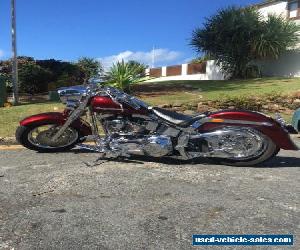 2005 Harley Davidson softail show bike