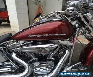 2005 Harley Davidson softail show bike