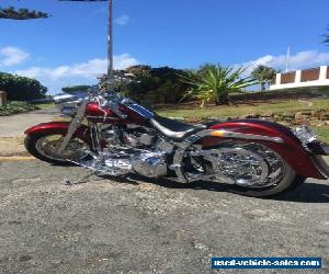 2005 Harley Davidson softail show bike