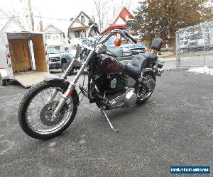 1988 Harley-Davidson Softail