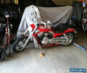 2006 Harley-Davidson Vrod