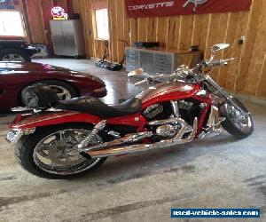 2006 Harley-Davidson Vrod