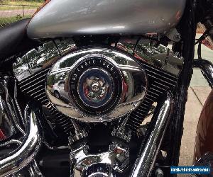 2014 Harley-Davidson Softail