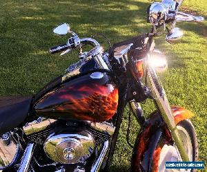 2001 Harley-Davidson Softail