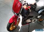 2004 Buell Lightning for Sale