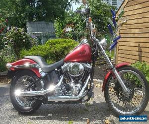 2004 Harley-Davidson Softail