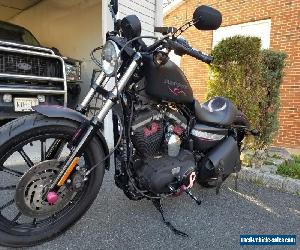 2011 Harley-Davidson Sportster