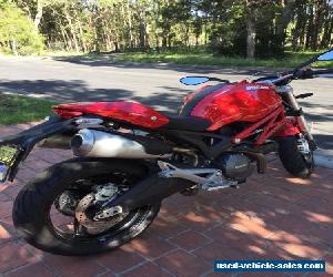 ducati monster lams for sale