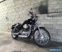 HARLEY DAVIDSON SPORTSTER CUSTOM  2004 MODEL for Sale