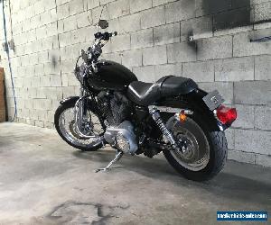 HARLEY DAVIDSON SPORTSTER CUSTOM  2004 MODEL