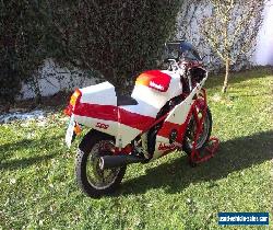 Bimota Sb 5 for Sale