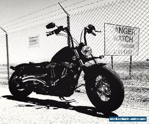 2013 Harley-Davidson Sportster