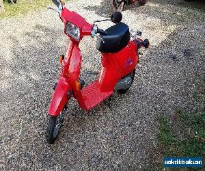 1984 Honda Other