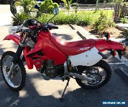 Honda XR650R for Sale