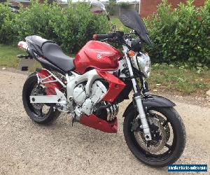 Yamaha fz6 nude fazer 600 / only 6,000 miles outstanding condition 