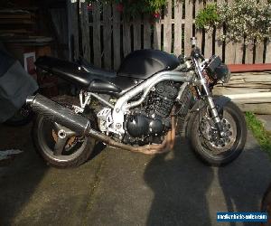 triumph daytona project-1997