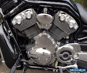 Harley Davidson Street Rod  Vrod V Rod VRSCR