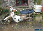 Honda C90 E Cub for Sale