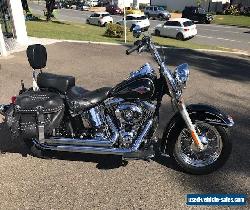 HARLEY DAVIDSON for Sale