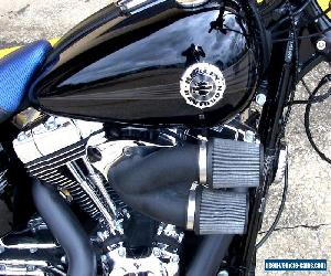 2014 Harley-Davidson Softail