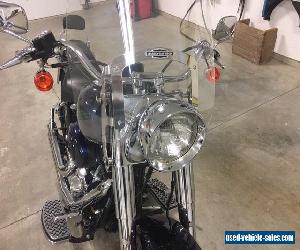 2002 Harley-Davidson Softail