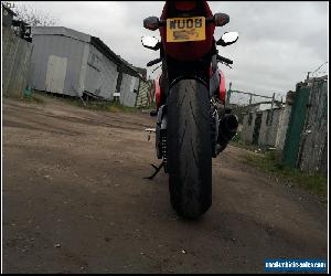 Honda Fireblade CBR 1000 RR 8