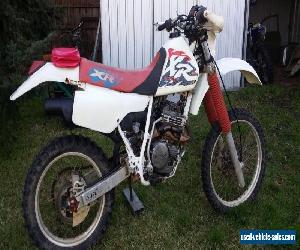 honda xr250