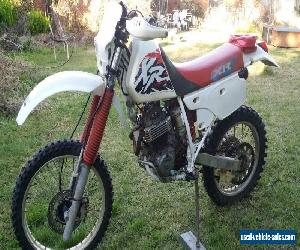 honda xr250