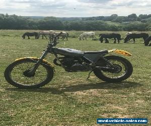 suzuki rl250 beamish 1974