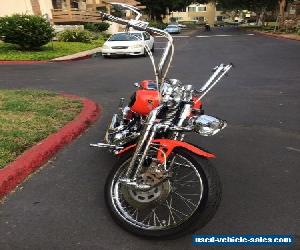 2001 Harley-Davidson Softail