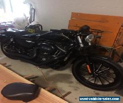 harley davidson custom iron 883 for Sale