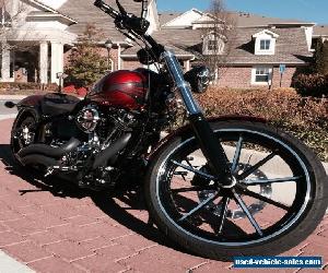 2013 Harley-Davidson Softail