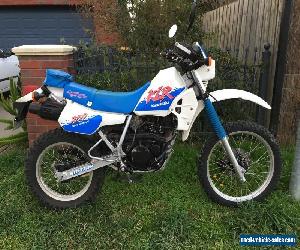 1991 KAWASAKI KLR 250,AMAZING CONDITION!! CLUB VEG, VINDURO. NOT DR XR TT XL KLX