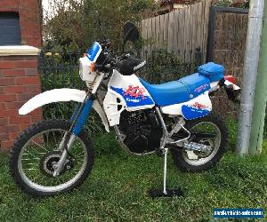 1991 KAWASAKI KLR 250,AMAZING CONDITION!! CLUB VEG, VINDURO. NOT DR XR TT XL KLX