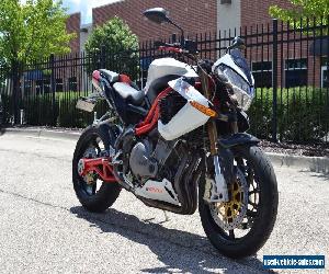 2008 Benelli Tornado Naked Tre