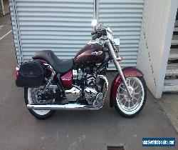 TRIUMPH AMERICA 2014 for Sale