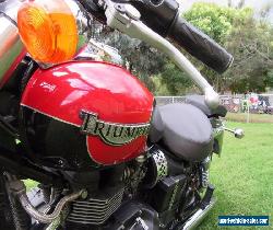 2007 Triumph Speedie for Sale